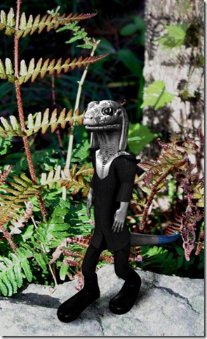 adult male skink