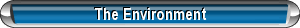 The Environment