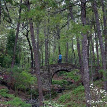 Full Moon Bridge